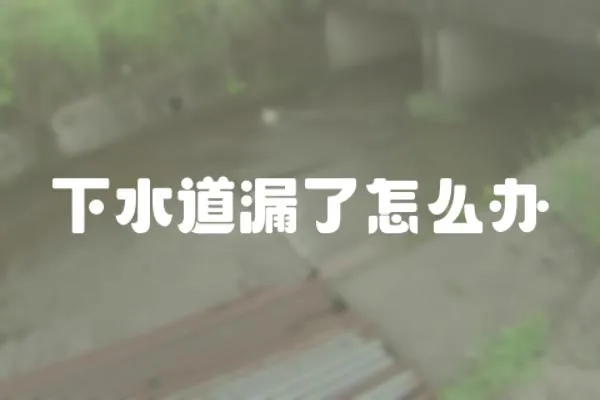 下水道漏了怎么辦