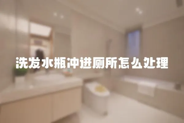 洗發水瓶沖進廁所怎么處理