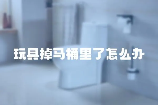 玩具掉馬桶里了怎么辦