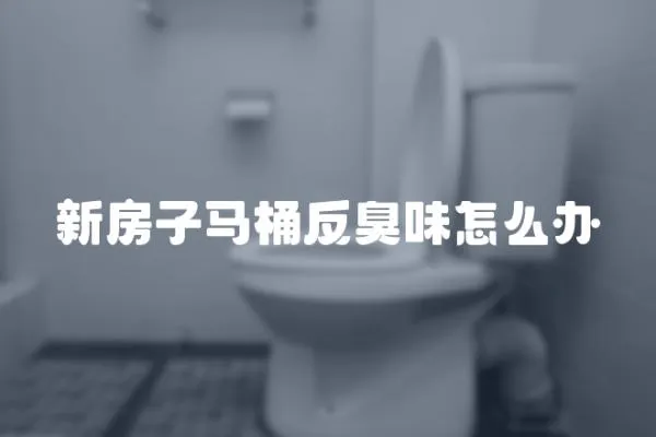 新房子馬桶反臭味怎么辦