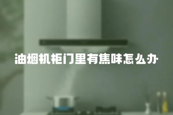 油煙機柜門里有焦味怎么辦
