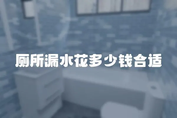 廁所漏水花多少錢合適