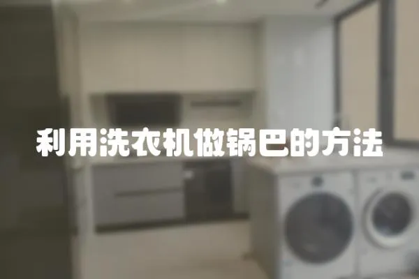 利用洗衣機做鍋巴的方法