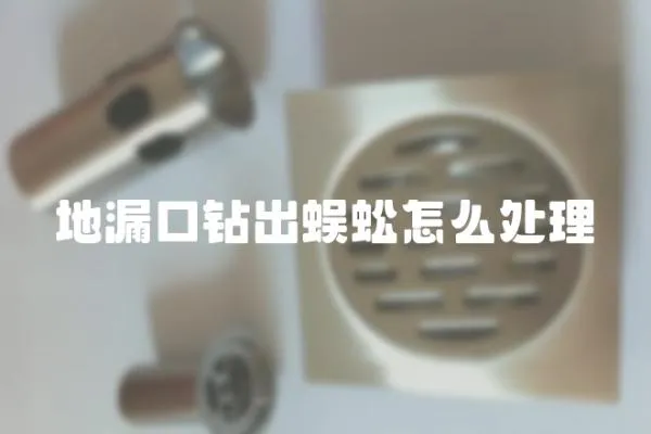 地漏口鉆出蜈蚣怎么處理