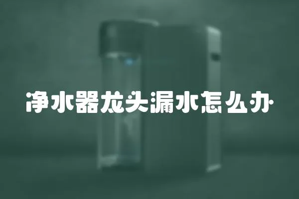 凈水器龍頭漏水怎么辦