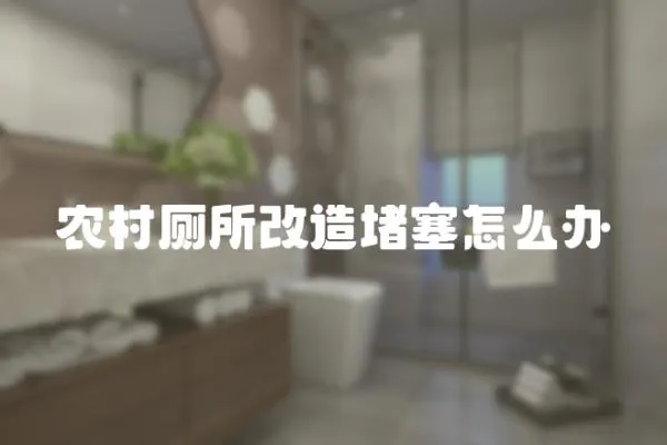 農村廁所改造堵塞怎么辦