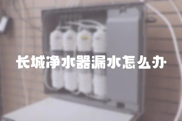 長(zhǎng)城凈水器漏水怎么辦