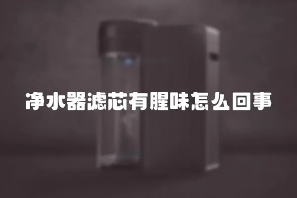 凈水器濾芯有腥味怎么回事