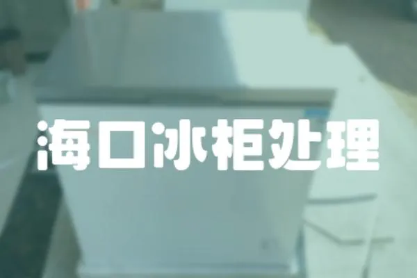 海口冰柜處理