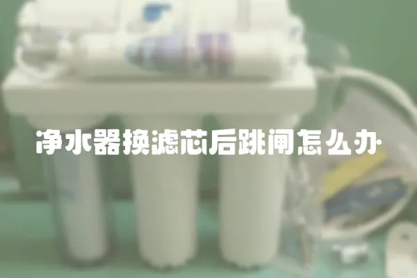 凈水器換濾芯后跳閘怎么辦