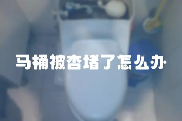 馬桶被杏堵了怎么辦
