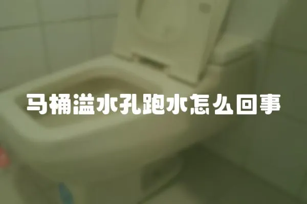 馬桶溢水孔跑水怎么回事