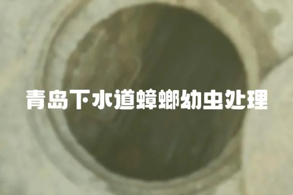 青島下水道蟑螂幼蟲處理