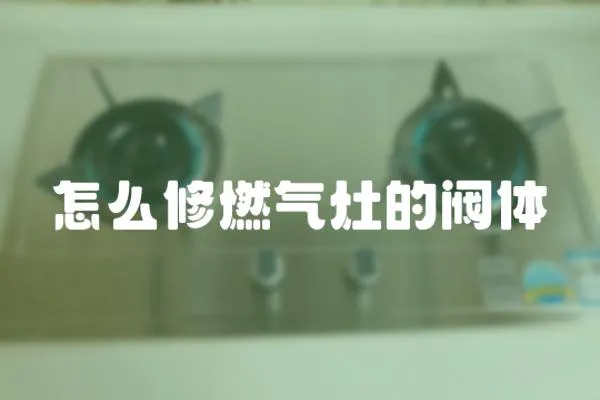 怎么修燃?xì)庠畹拈y體