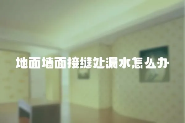地面墻面接縫處漏水怎么辦