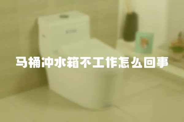 馬桶沖水箱不工作怎么回事