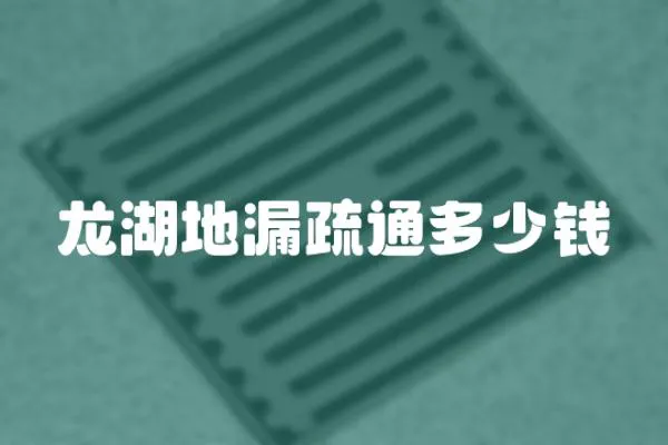 龍湖地漏疏通多少錢