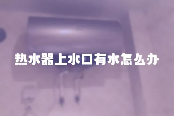 熱水器上水口有水怎么辦