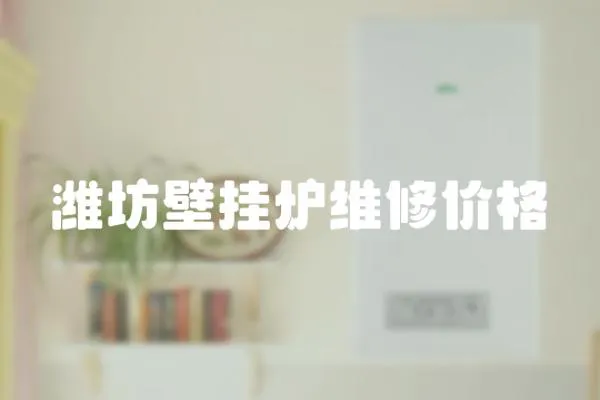 濰坊壁掛爐維修價格