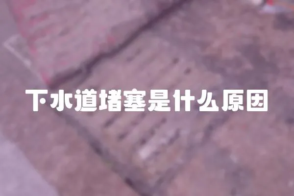下水道堵塞是什么原因