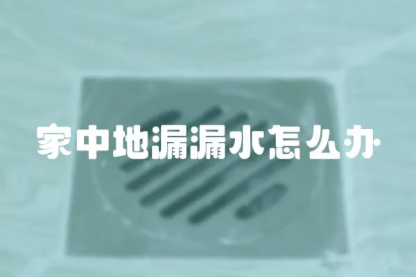 家中地漏漏水怎么辦