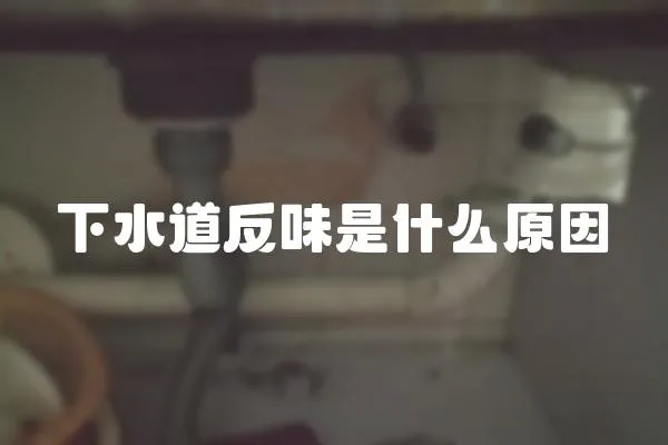 下水道反味是什么原因
