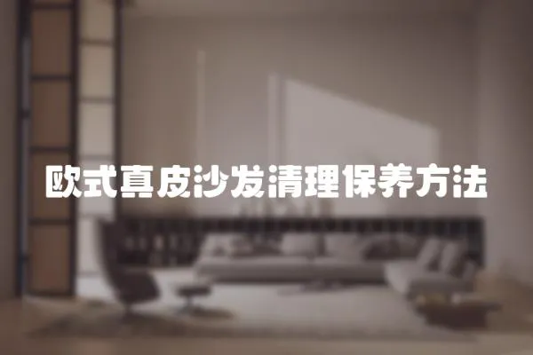 歐式真皮沙發清理保養方法