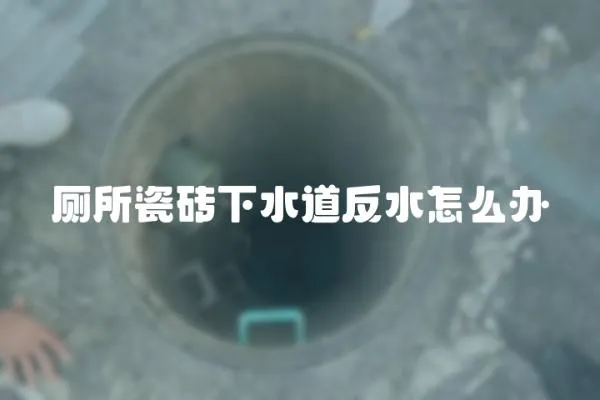廁所瓷磚下水道反水怎么辦