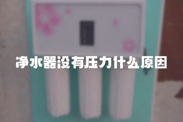 凈水器沒有壓力什么原因