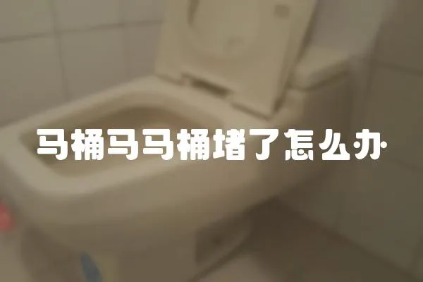 馬桶馬馬桶堵了怎么辦