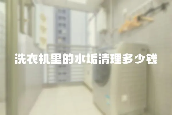 洗衣機里的水垢清理多少錢