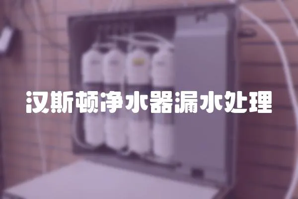 漢斯頓凈水器漏水處理