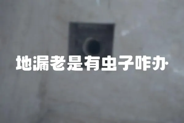 地漏老是有蟲子咋辦