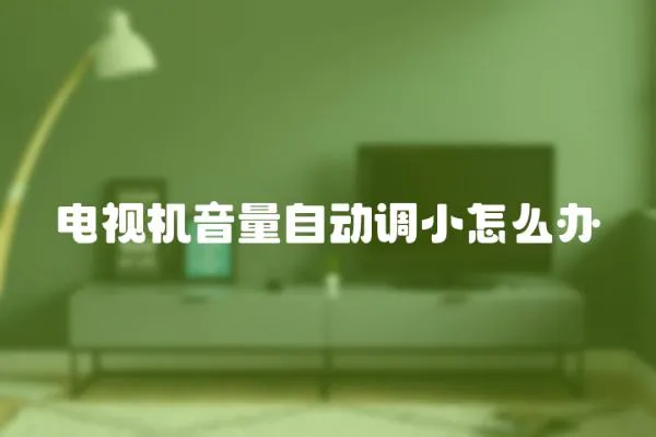電視機(jī)音量自動(dòng)調(diào)小怎么辦