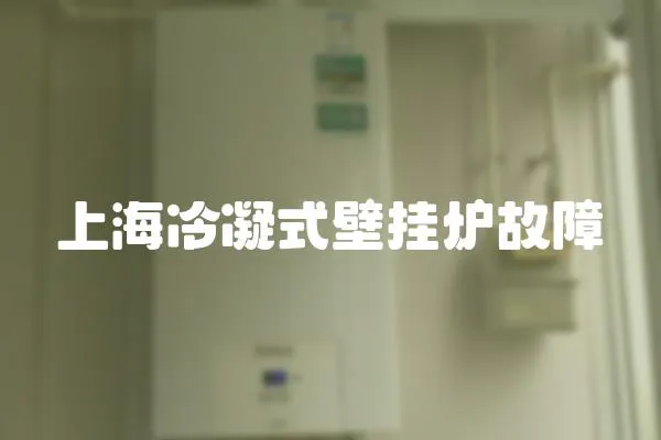 上海冷凝式壁掛爐故障