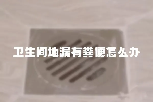 衛生間地漏有糞便怎么辦