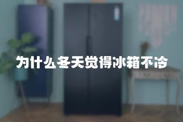 為什么冬天覺得冰箱不冷