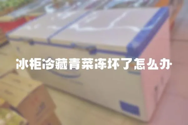 冰柜冷藏青菜凍壞了怎么辦