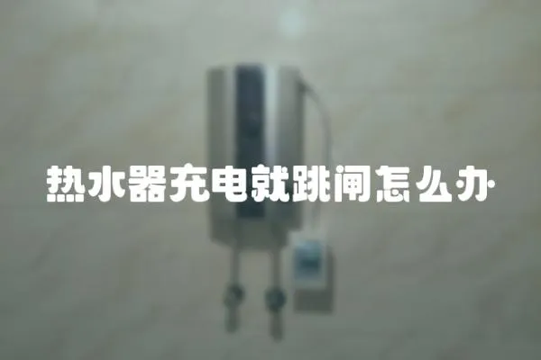 熱水器充電就跳閘怎么辦