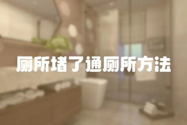 廁所堵了通廁所方法