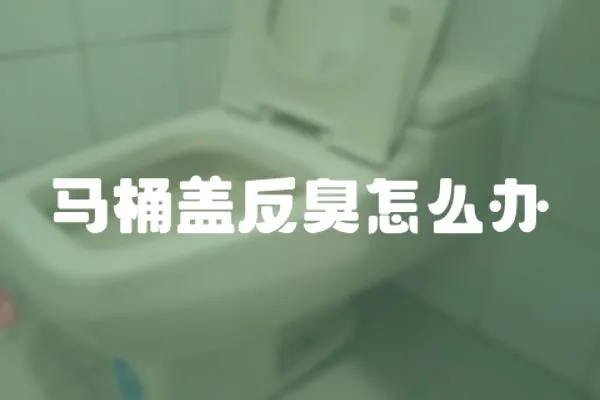 馬桶蓋反臭怎么辦