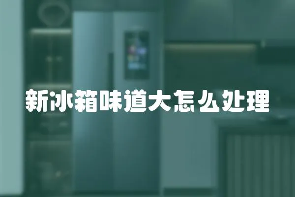 新冰箱味道大怎么處理