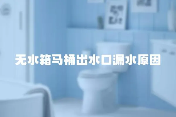 無水箱馬桶出水口漏水原因