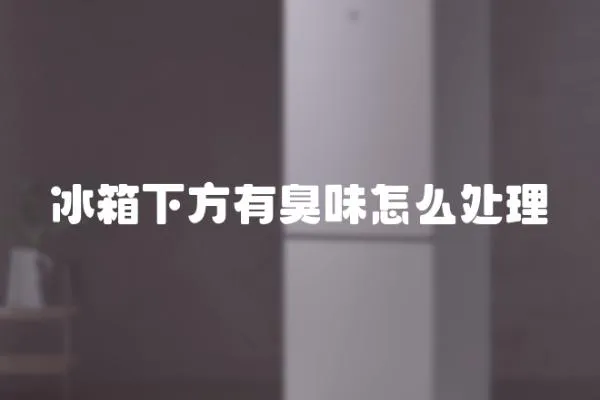 冰箱下方有臭味怎么處理