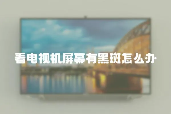 看電視機屏幕有黑斑怎么辦