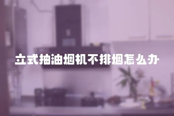 立式抽油煙機不排煙怎么辦