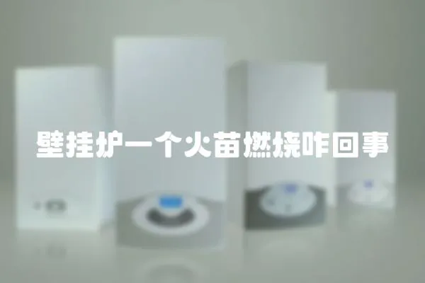 壁掛爐一個火苗燃燒咋回事