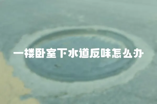 一樓臥室下水道反味怎么辦