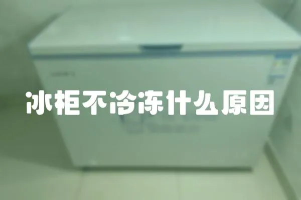 冰柜不冷凍什么原因