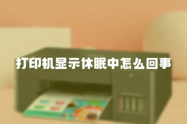 打印機顯示休眠中怎么回事